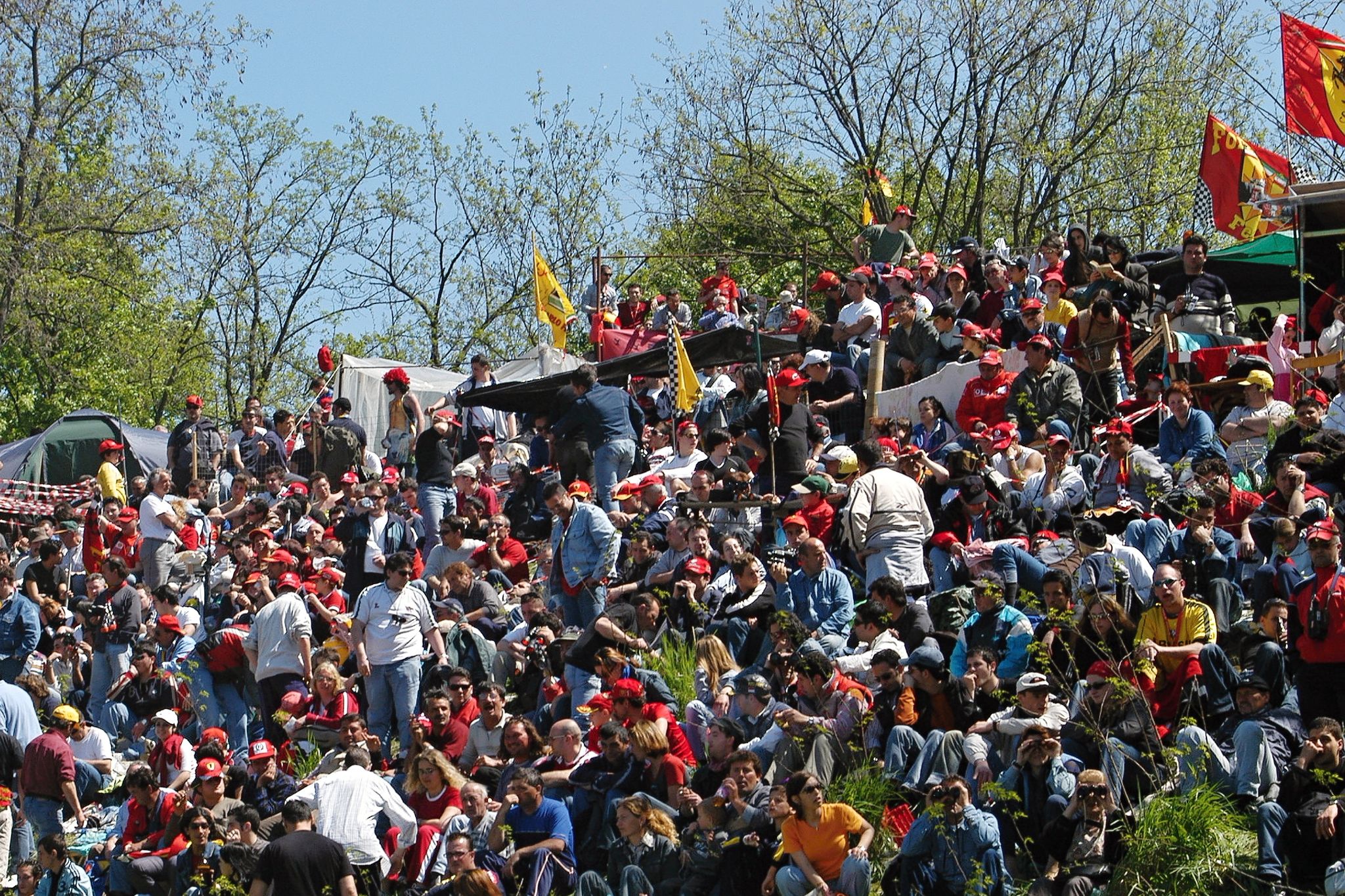 Imola Tifosi